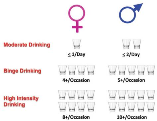 Drinking levels for men and women.