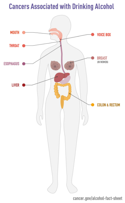 Does alcohol cause cancer?