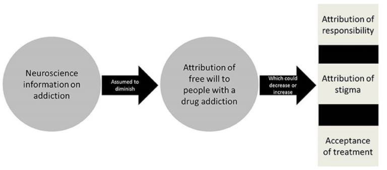 Neuroscience information on addiction and attribution of free will.